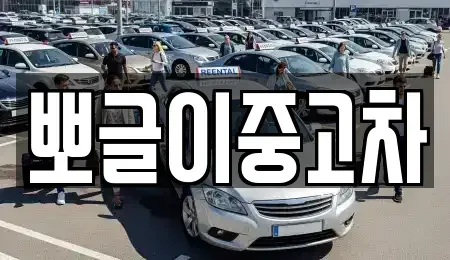강원 속초시 중앙동 중고차매매 전문 뽀글이중고차