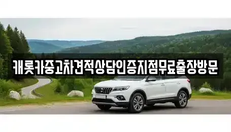 강원 속초시 중앙동 중고차매매 전문 캐롯카중고차견적상담인증지점무료출장방문