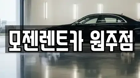 강원 원주시 단구동 렌트카 전문 모젠렌트카 원주점