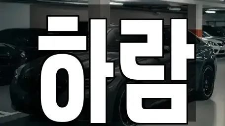 강원 원주시 태장동 장기렌트카 전문 하람