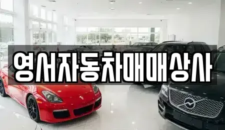 강원 원주시 태장동 중고차매매 전문 영서자동차매매상사