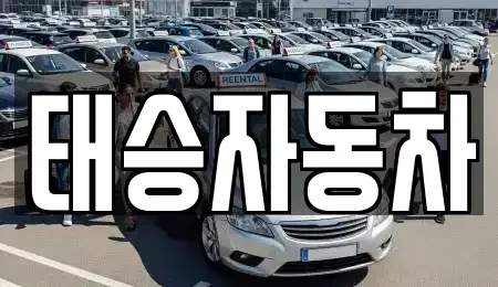 강원 원주시 태장동 중고차매매 전문 태승자동차