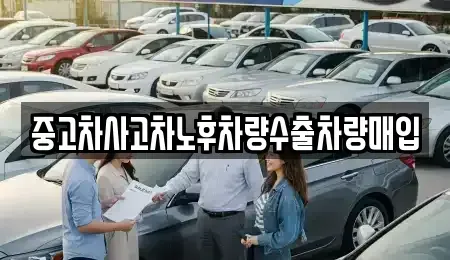 강원 원주시 태장동 중고차매입 전문 중고차사고차노후차량수출차량매입