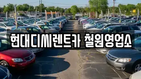 강원 철원군 동송읍 렌트카 전문 현대디씨렌트카 철원영업소