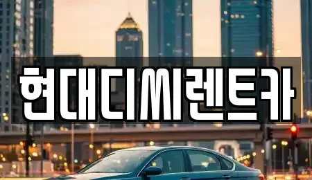 강원 철원군 동송읍 렌트카 전문 현대디씨렌트카