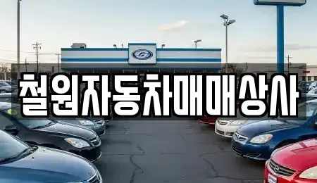 강원 철원군 동송읍 중고차매매 전문 철원자동차매매상사