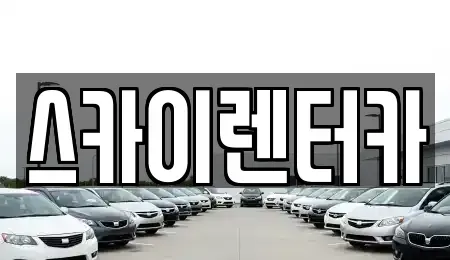 강원 춘천시 동면 렌트카 전문 스카이렌터카