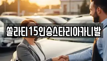 강원 춘천시 동면 렌트카 전문 쏠라티15인승스타리아카니발