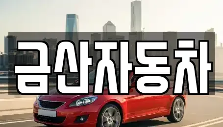 강원 춘천시 동면 중고차 전문 금산자동차