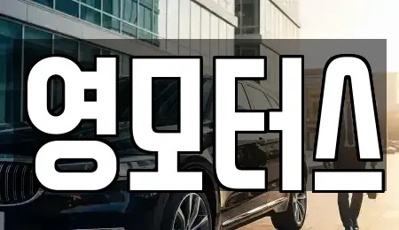 강원 춘천시 동면 중고차 전문 영모터스