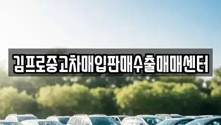 강원 춘천시 운교동 중고차매입 전문 김프로중고차매입판매수출매매센터
