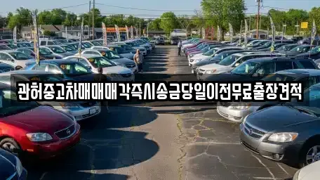 강원 춘천시 후평동 중고차매매 전문 관허중고차매매매각즉시송금당일이전무료출장견적