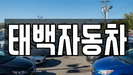 강원 태백시 백산동 중고차 전문 태백자동차