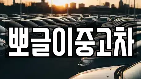 강원 태백시 소도동 중고차 전문 뽀글이중고차