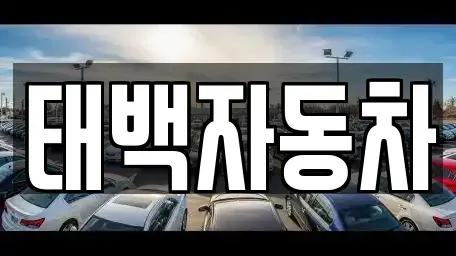 강원 태백시 소도동 중고차 전문 태백자동차