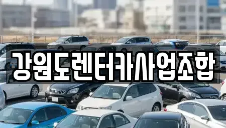 강원 태백시 통동 렌트카 전문 강원도렌터카사업조합