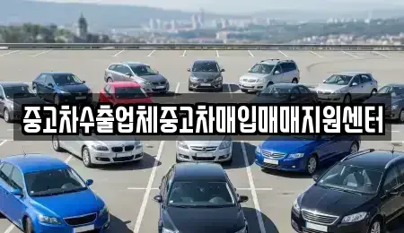 강원특별자치도 강릉시 옥천동 중고차매입 전문 중고차수출업체중고차매입매매지원센터
