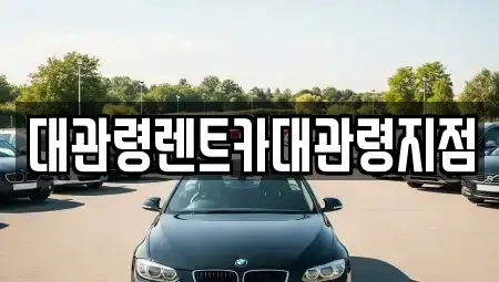 강원특별자치도 강릉시 왕산면 렌트카 전문 대관령렌트카대관령지점