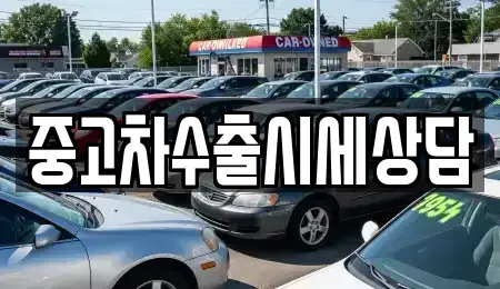 강원특별자치도 강릉시 왕산면 중고차매매 전문 중고차수출시세상담