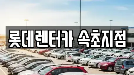 강원특별자치도 고성군 토성면 렌트카 전문 롯데렌터카 속초지점