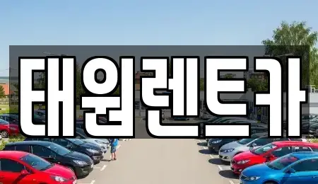 강원특별자치도 고성군 토성면 렌트카 전문 태원렌트카