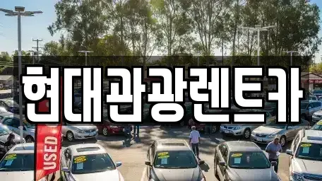 강원특별자치도 고성군 토성면 렌트카 전문 현대관광렌트카