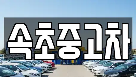 강원특별자치도 고성군 토성면 중고차매매 전문 속초중고차