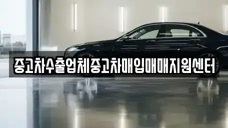 강원특별자치도 고성군 토성면 중고차매입 전문 중고차수출업체중고차매입매매지원센터