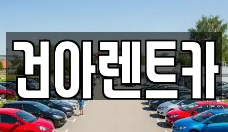 강원특별자치도 동해시 렌트카 전문 건아렌트카
