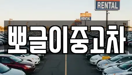 강원특별자치도 동해시 삼화동 중고차 전문 뽀글이중고차