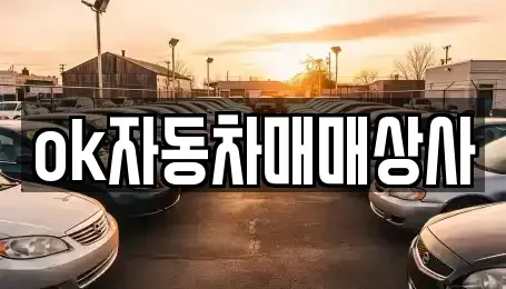 강원특별자치도 동해시 중고차매매 전문 ok자동차매매상사