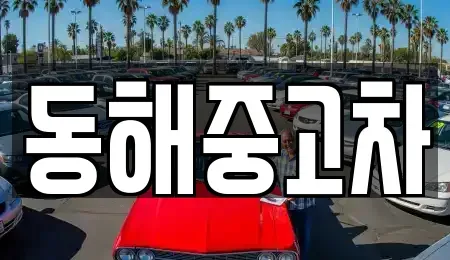 강원특별자치도 동해시 중고차매매 전문 동해중고차