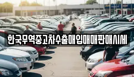 강원특별자치도 동해시 중고차매입 전문 한국무역중고차수출매입매매판매시세