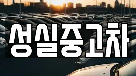 강원특별자치도 삼척시 남양동 중고차 전문 성실중고차