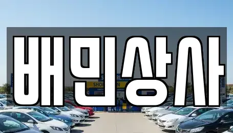 강원특별자치도 삼척시 남양동 중고차매매 전문 배민상사