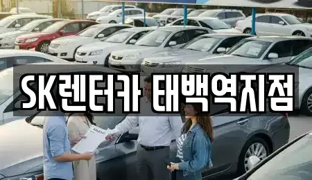 강원특별자치도 정선군 장기렌트카,중고차,렌트카,단기렌트카,중고차매입,중고차매매
