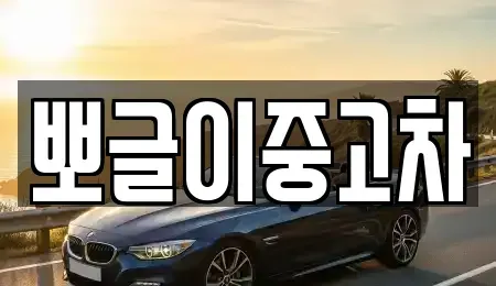 강원특별자치도 정선군 중고차 전문 뽀글이중고차