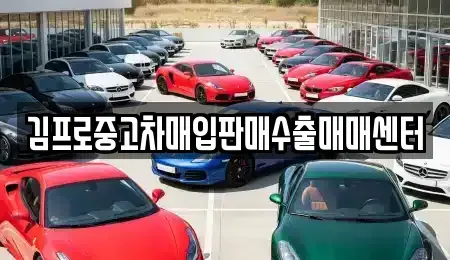 강원특별자치도 정선군 중고차매입 전문 김프로중고차매입판매수출매매센터