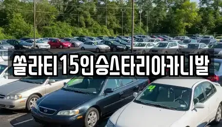 강원특별자치도 춘천시 중도동 렌트카 전문 쏠라티15인승스타리아카니발