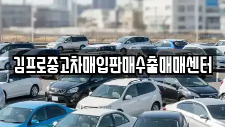 강원특별자치도 춘천시 중도동 중고차매입 전문 김프로중고차매입판매수출매매센터