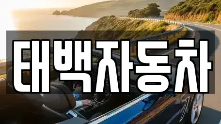 강원특별자치도 태백시 백산동 중고차매매 전문 태백자동차