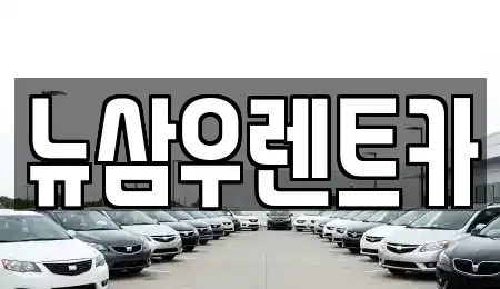 경기 고양시 덕양구 원당동 렌트카 전문 뉴삼우렌트카