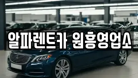 경기 고양시 덕양구 원당동 렌트카 전문 알파렌트카 원흥영업소