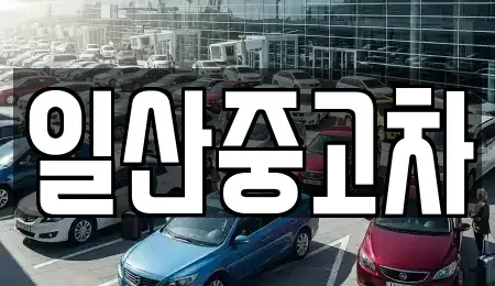 경기 고양시 덕양구 원당동 중고차매매 전문 일산중고차