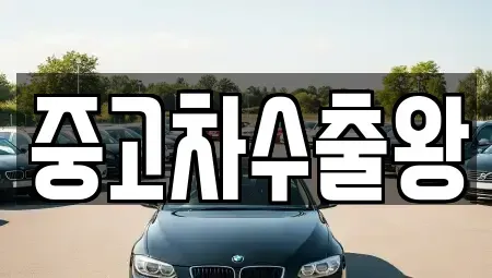 경기 광명시 노온사동 중고차 전문 중고차수출왕