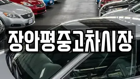 경기 광명시 노온사동 중고차매매 전문 장안평중고차시장