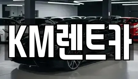 경기 광명시 하안동 단기렌트카 전문 KM렌트카