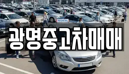 경기 광명시 하안동 중고차 전문 광명중고차매매