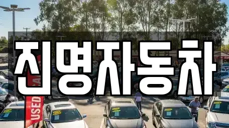 경기 광명시 하안동 중고차 전문 진명자동차