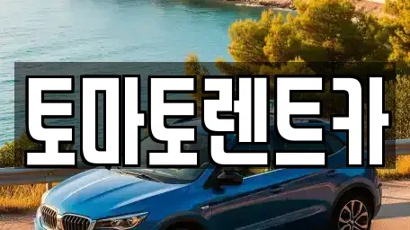 경기 광주시 송정동 렌트카 전문 토마토렌트카